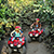 ATV Jungle Adventure Cozumel 