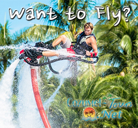 fly boarding in cozumel to fly and swim like a dolphin with this flyboard 